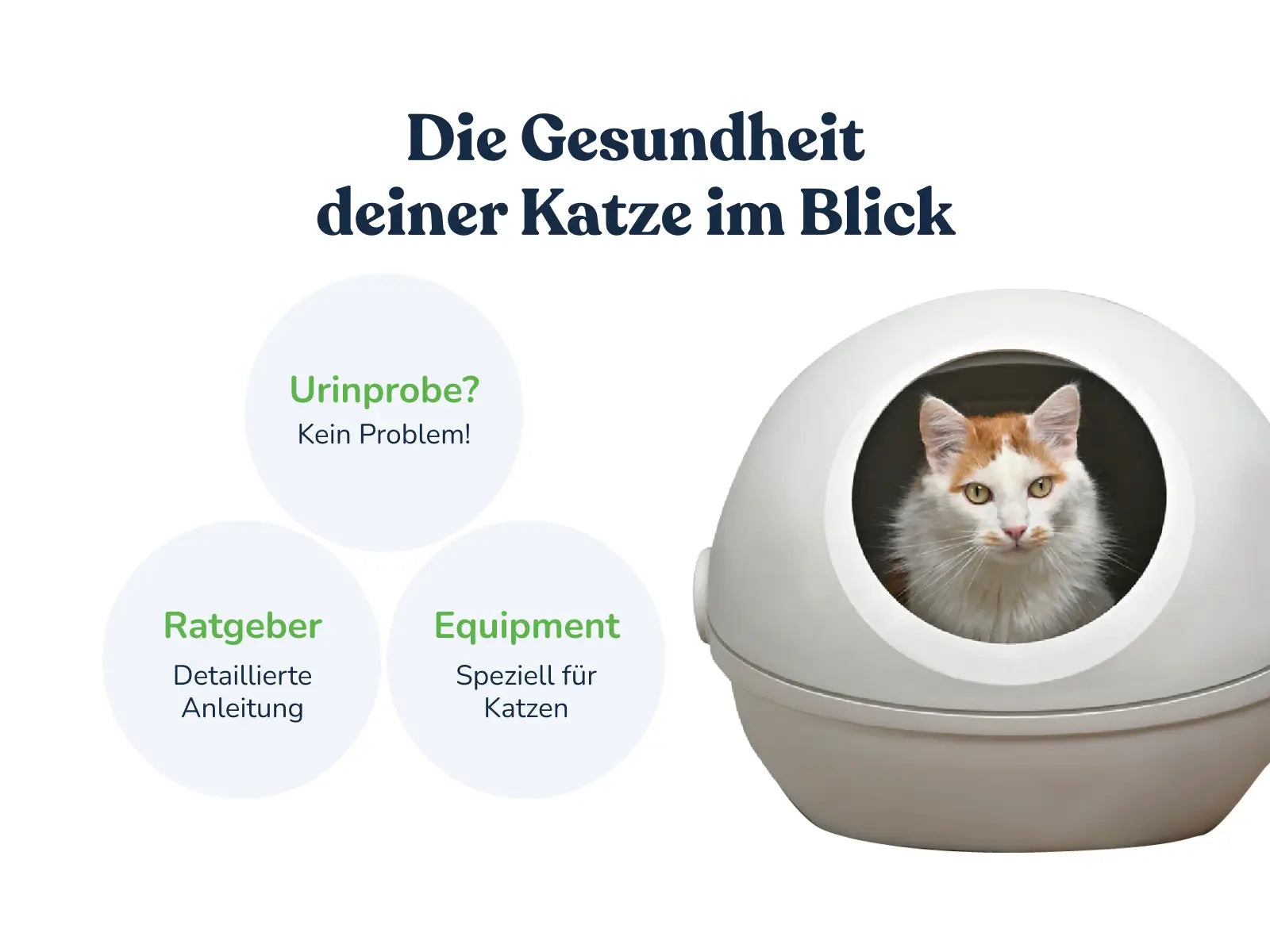 urinprobe katze aufbewahren Urintest für Katzen für zuhause